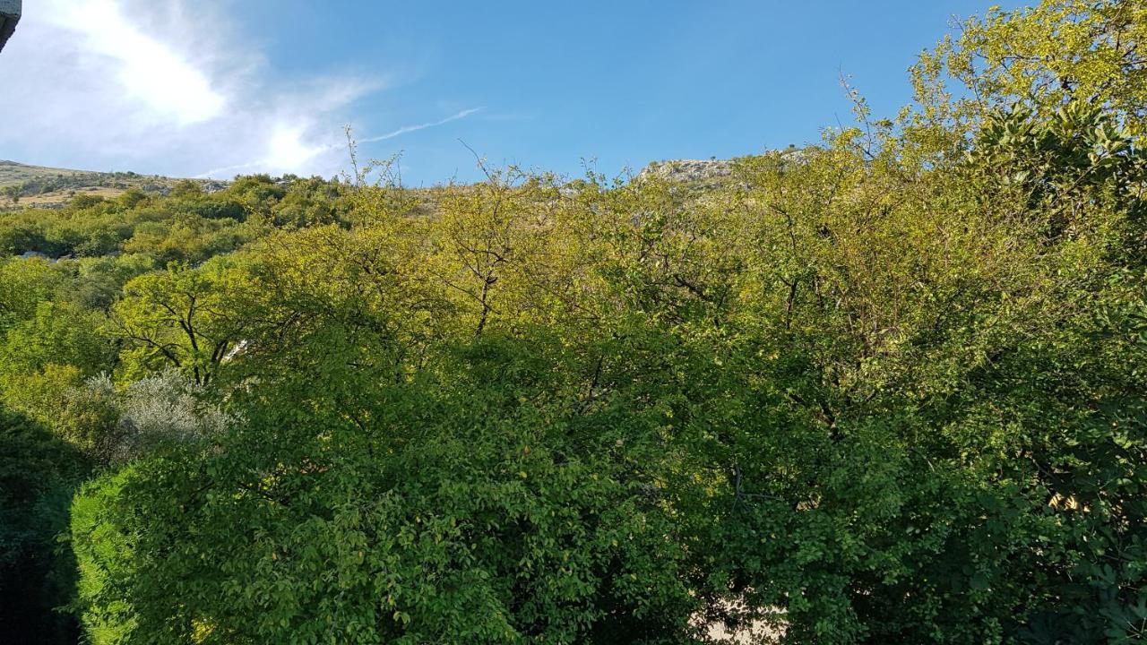 Rooms Lake View Balani Restaurant Shkoder Bagian luar foto