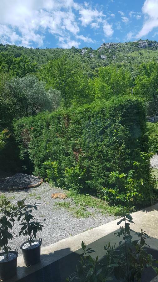 Rooms Lake View Balani Restaurant Shkoder Bagian luar foto