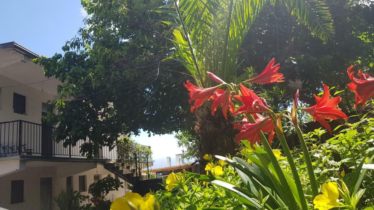 Rooms Lake View Balani Restaurant Shkoder Bagian luar foto