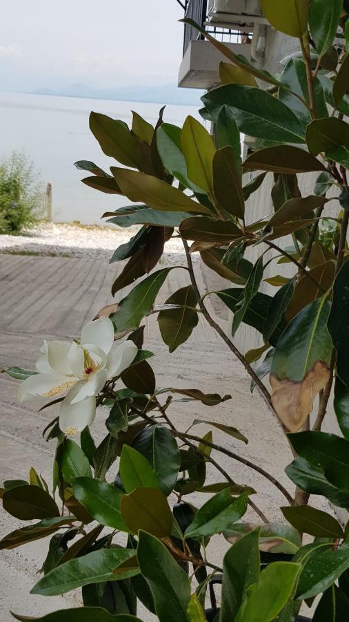 Rooms Lake View Balani Restaurant Shkoder Bagian luar foto